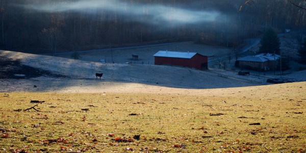 foggy morning in the country