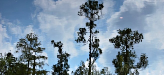 reflection on rippled water