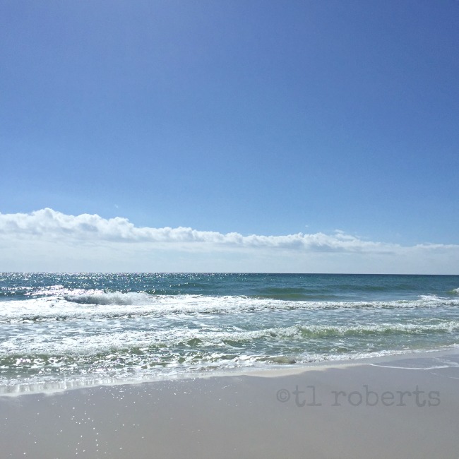 the beach in February
