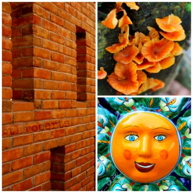 Color orange collage