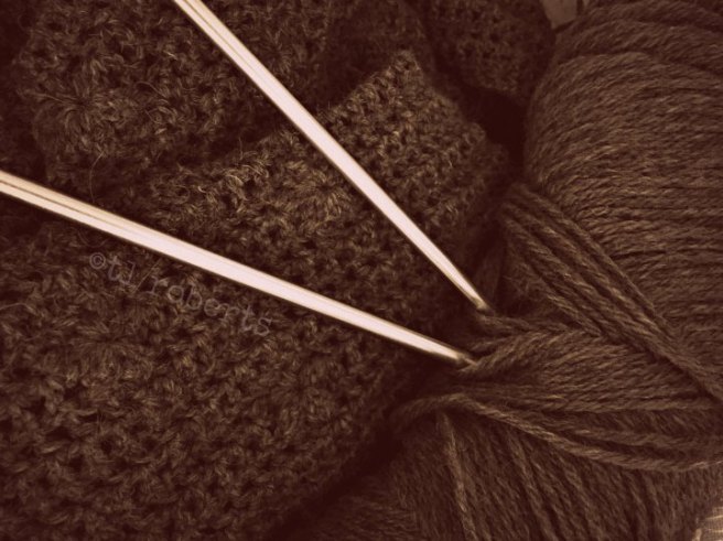 skein wool and knitting needles