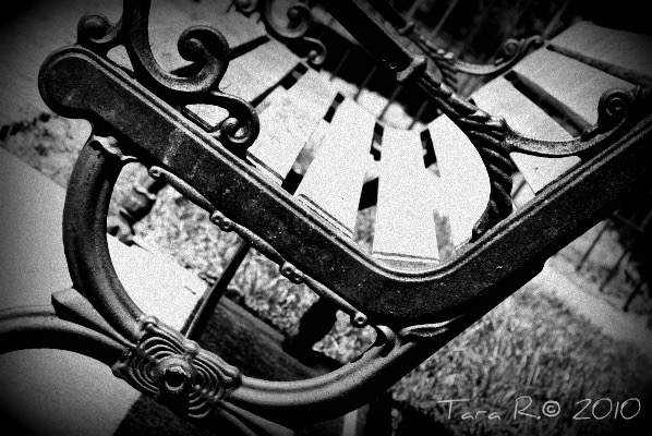 park bench black and white