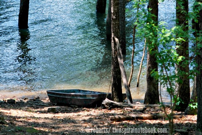 johnboat on lake shore