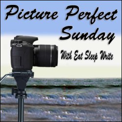 Picture Perfect Sunday badge