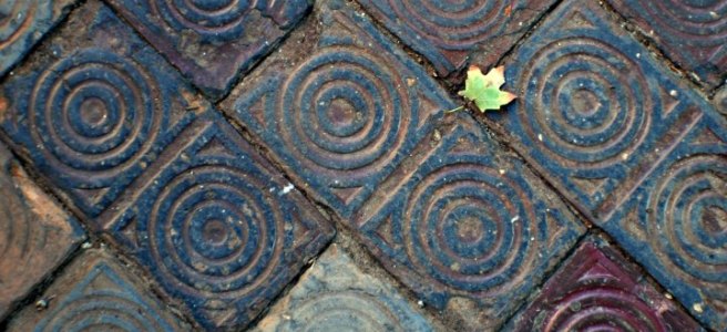 green leaf on intricate tile