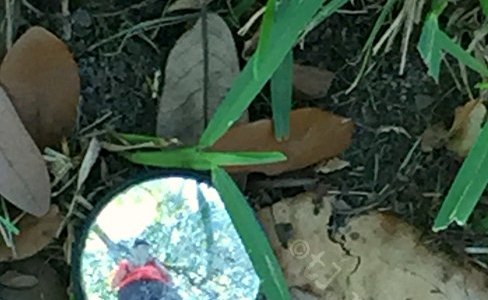 selfie in tiny mirror