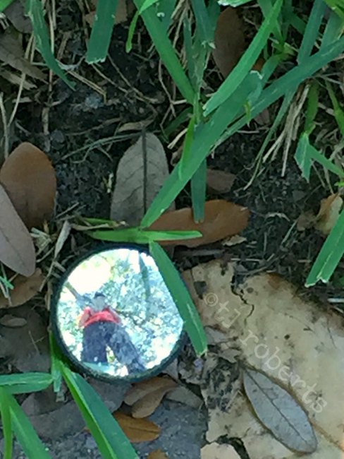 selfie in tiny mirror