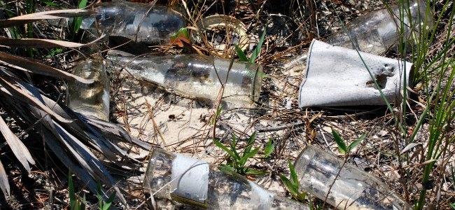 glass bottle litter