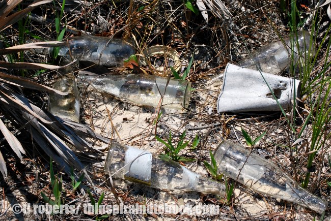 glass bottle litter
