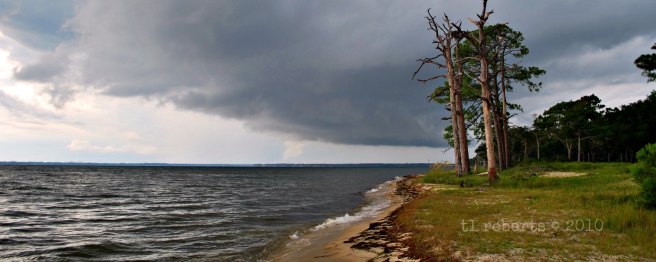 brewing thunderstorm