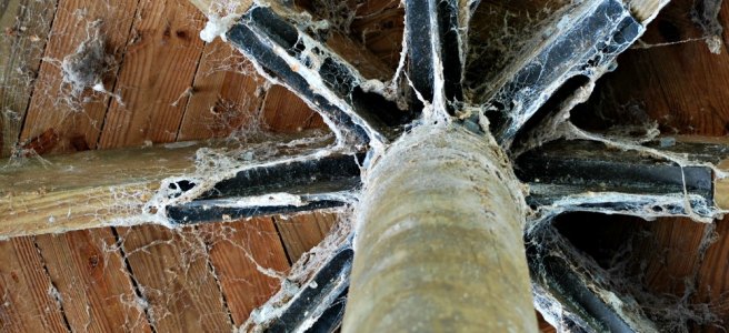 spider web covered roof