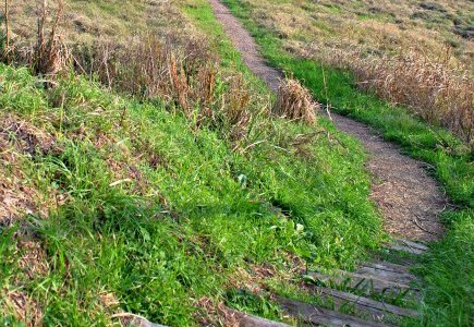 wooden stairs into a valley