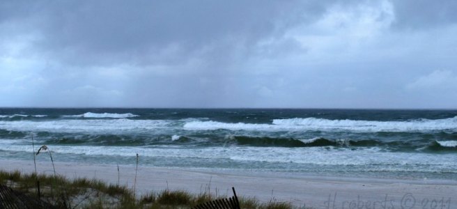 tropical storm waves