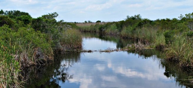 creek running through green landscape