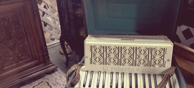 vintage accordion