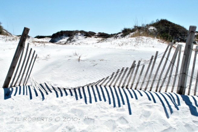 white sand, fence row