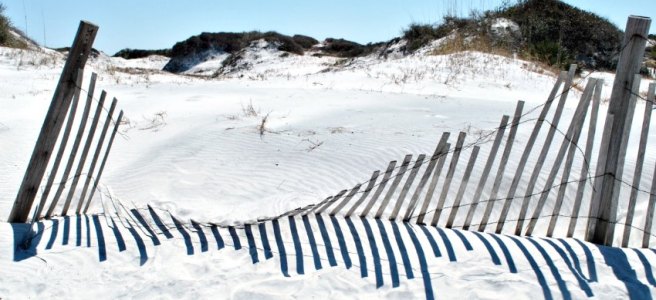 white sand, fence row