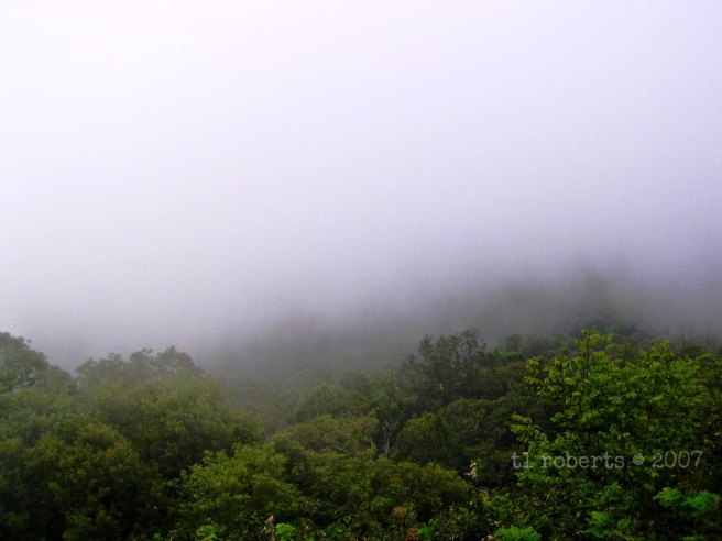 foggy valley