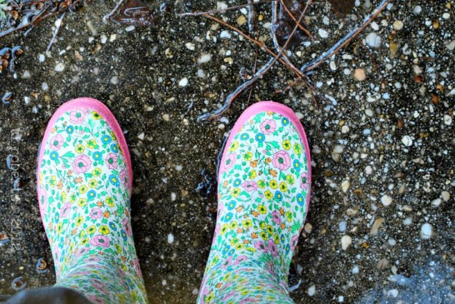 pink, flowery galoshes