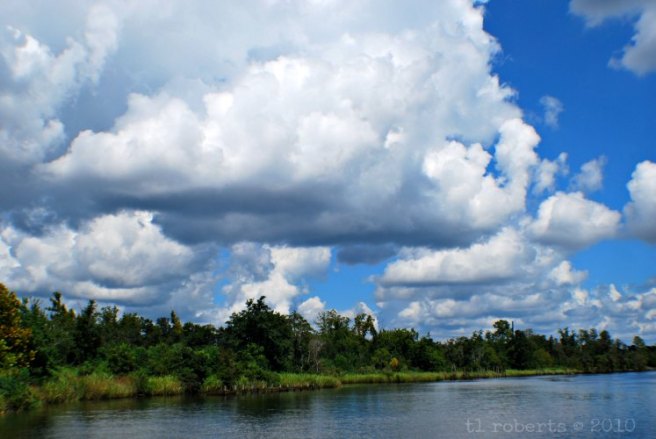 blue sky and white cumulus clouds 