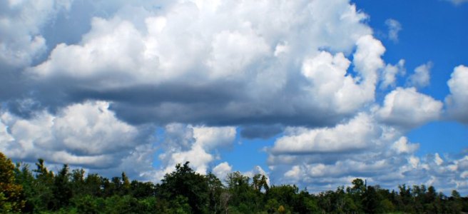 blue sky and white cumulus clouds