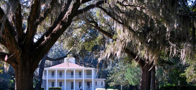 Antebellum house with old oak trees draped in Spanish Moss