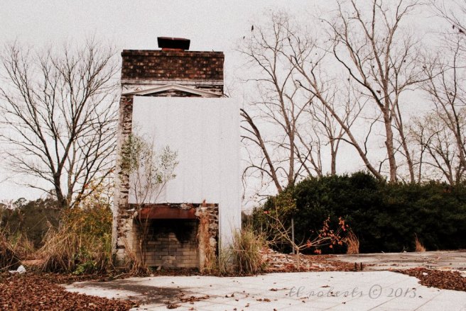 fire place last thing standing