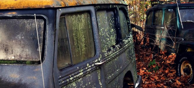 rusted Willys jeeps