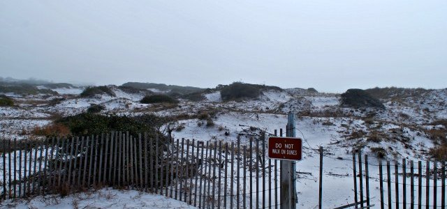 do not walk on dune sign on beach