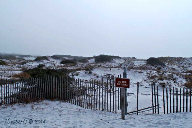 do not walk on dune sign on beach