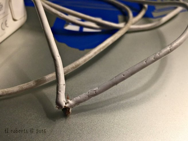 laptop charge cable chewed through