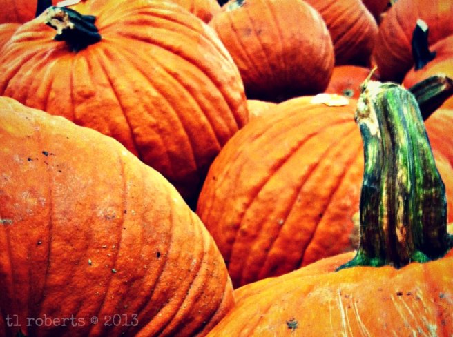 pumpkin pile