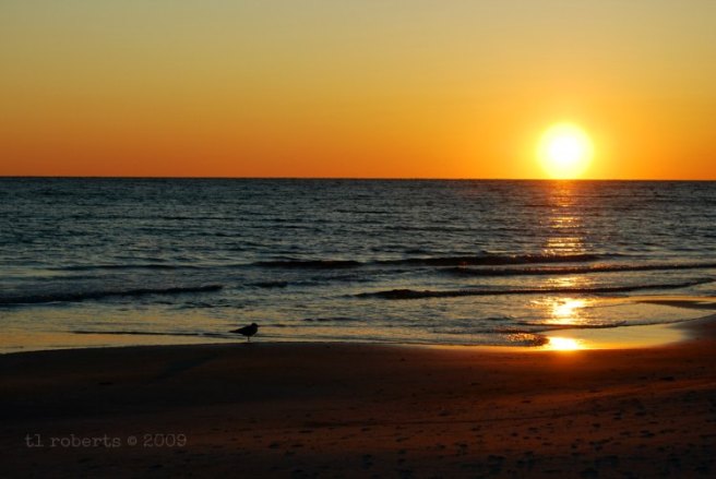 sunrise at the beach